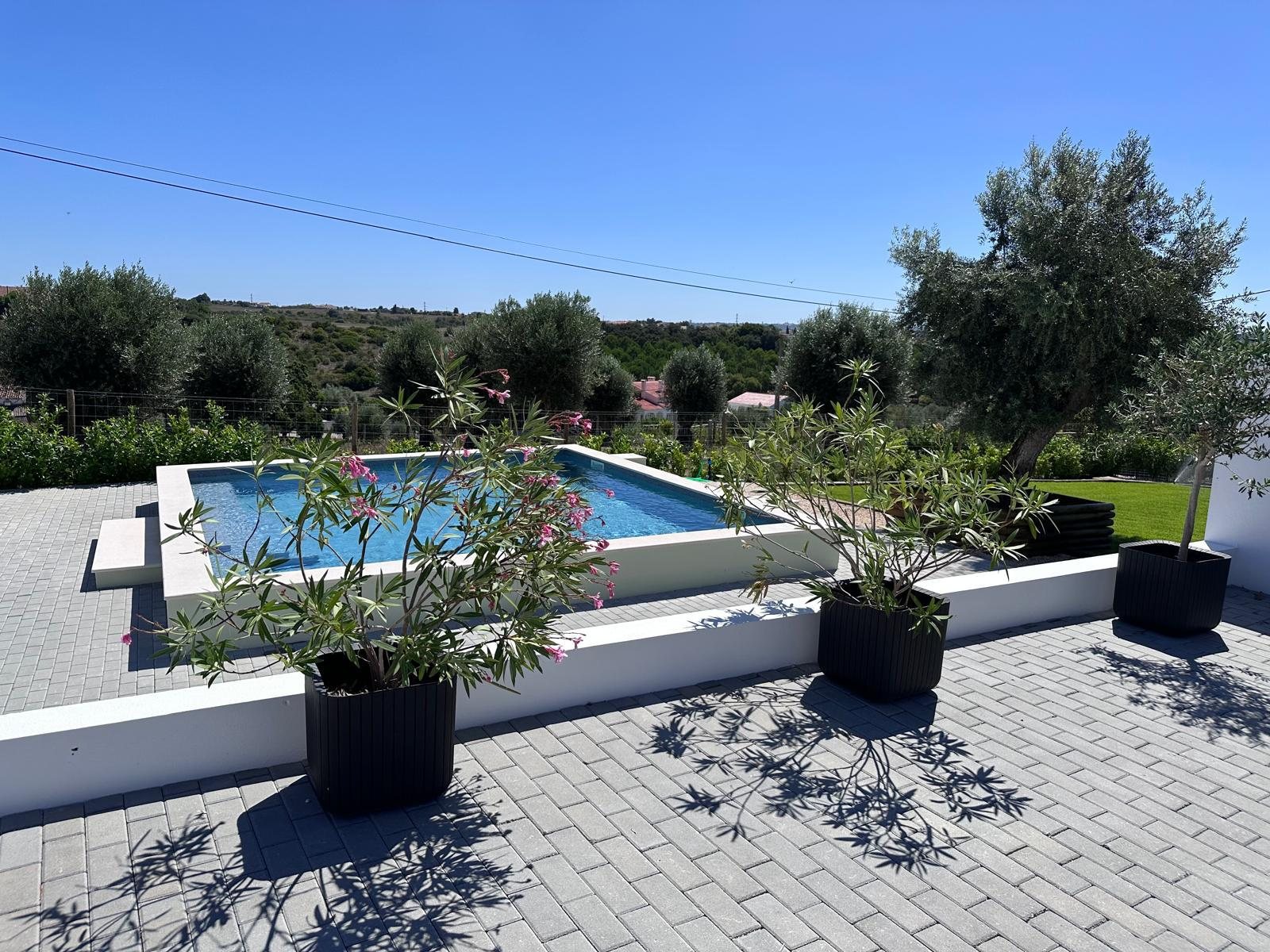 Jardim com oliveiras centenárias